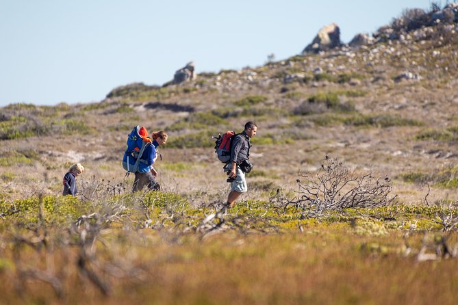 Cape Point Private Nature Tour & Hike - A Private Cape Peninsula Day That Feels Like a Route, Not a Race