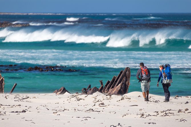 Cape Point Private Nature Tour & Hike - Who This Tour Is Best For