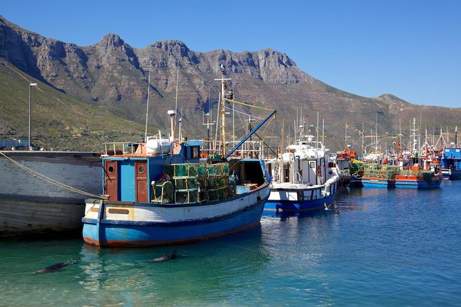 Cape Point Sightseeing Tour including Cape of Good Hope full day from Cape Town - Getting to Hout Bay and Duiker Island for Seal Spotting