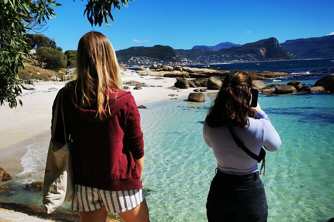 Cape Point Xplorer - Lunch: included fish and chips, with real dietary options