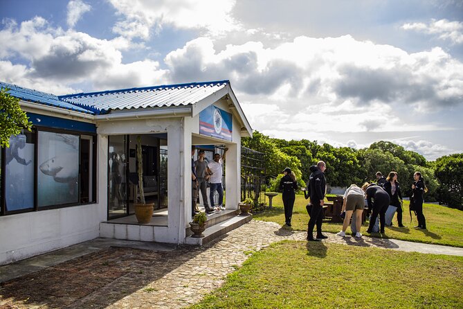 Cape Shark Diving Adventures - Food, Warm Showers, Towels, and Lunch With a View