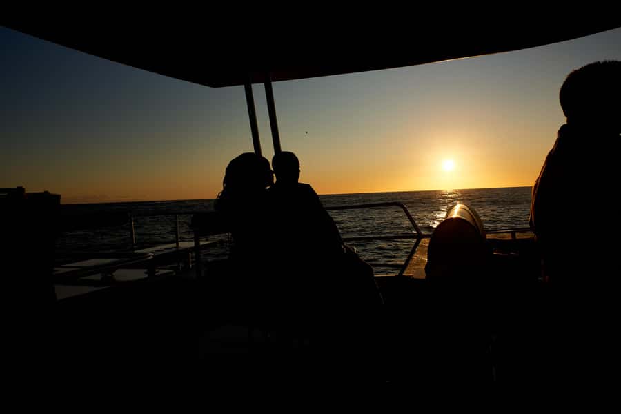 Cape Town: 1.5-Hour Luxury Sunset Cruise with Prosecco - Key things to know before you go
