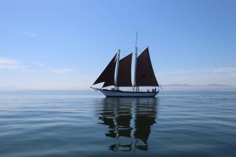 Cape Town: 1 Hour Table Bay Sailing Tour - Key things that make this Table Bay sail worth your hour