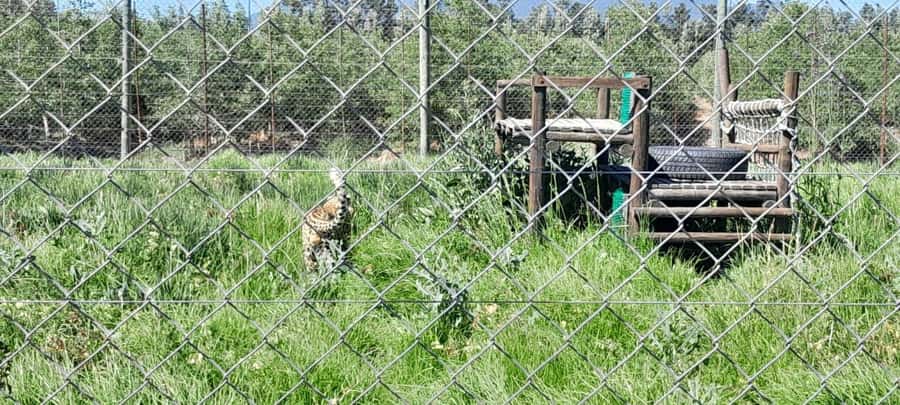 Cape Town: 15 Wine Tasting & Wildlife Small Group Tour - What to bring for comfort and better tasting