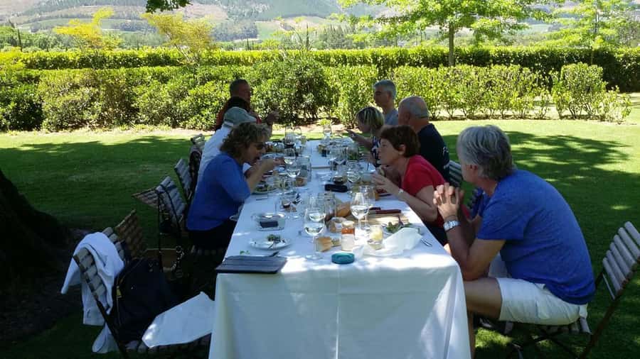 Cape Town: 15 Wine Tasting & Wildlife Small Group Tour - Price and logistics: what $112 buys you in real life