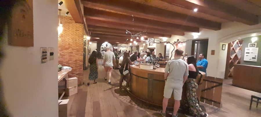 Cape Town: 15 Wine Tasting & Wildlife Small Group Tour - Alcohol pace, kid-friendly details, and staying on your feet