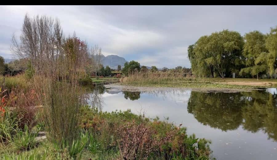 Cape Town: 15 Wine Tasting & Wildlife Small Group Tour - Vredenheim Wine Estate: first tastings and big-cat wildlife viewing