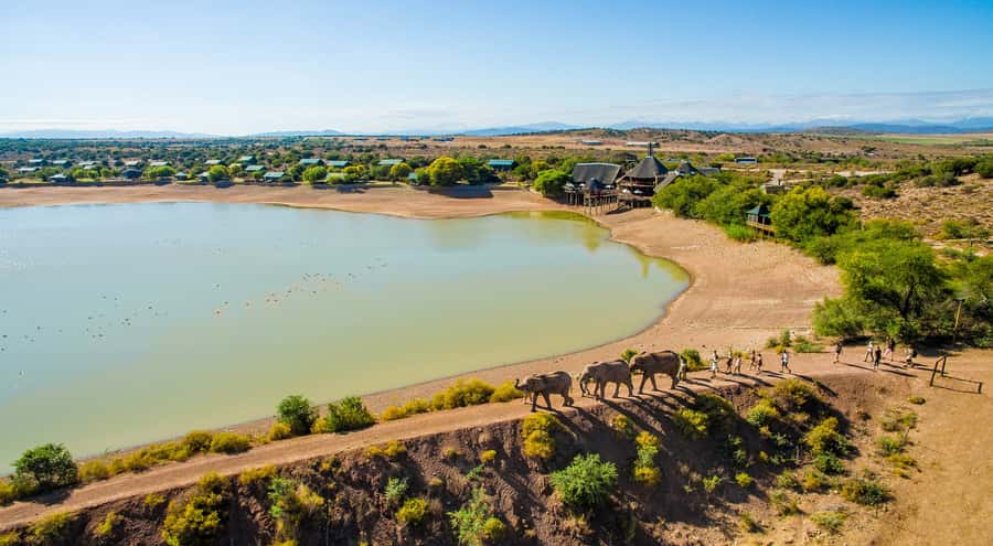 Cape Town: 2-Day Wildlife Tour with Safaris and Luxury Stay - Quick Highlights You’ll Actually Care About