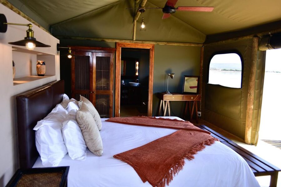 Cape Town: 2-Day Wildlife Tour with Safaris and Luxury Stay - Guides, Group Size, and Why the Human Part Matters