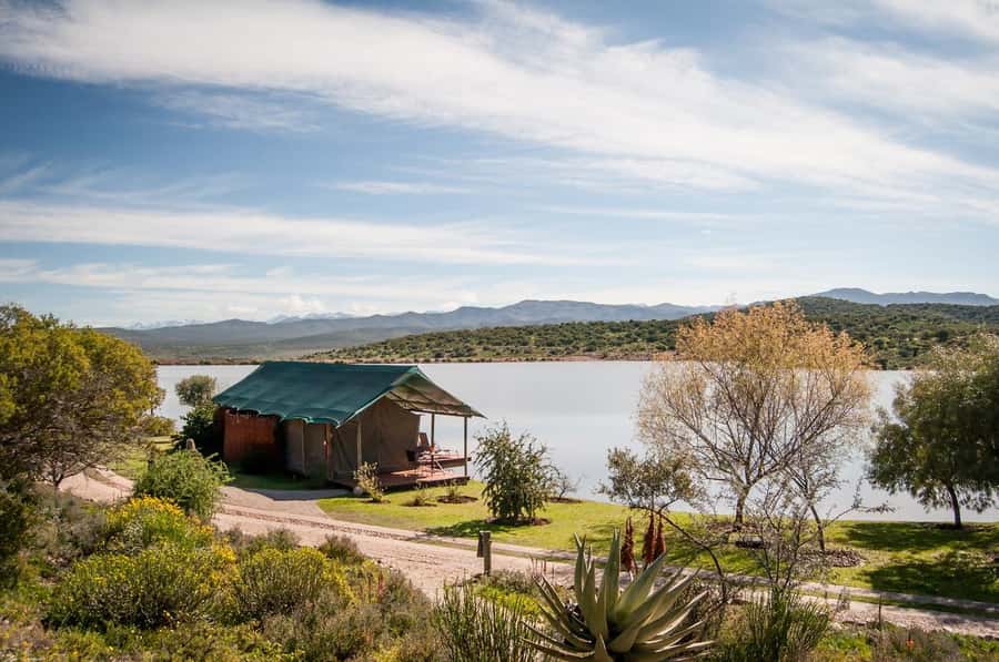 Cape Town: 2-Day Wildlife Tour with Safaris and Luxury Stay - Overnight in Oudtshoorn: Buffelsdrift Lodge and the Real Meaning of Comfort