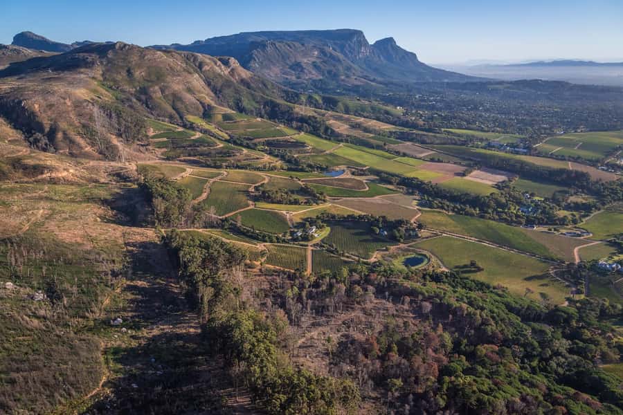 Cape Town: 2 Oceans Helicopter Flight with Boat Tour Ticket - Muizenberg, whale-spotting hopes, and the return over Table Mountain