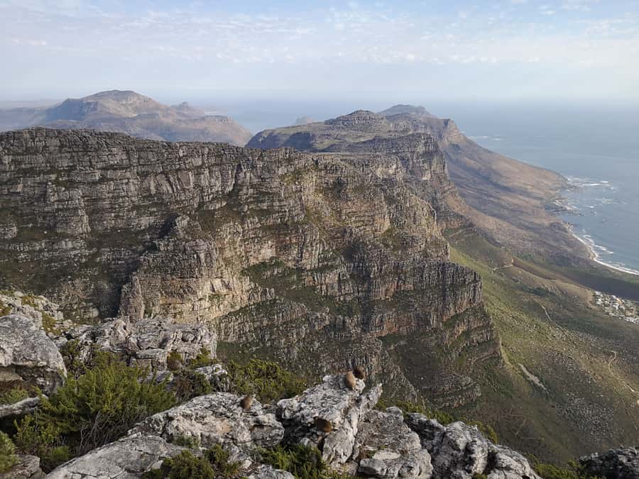 Cape Town: 3-Hour Table Mountain Hike via Platteklip Gorge - Price and value: what $112 buys you on the mountain