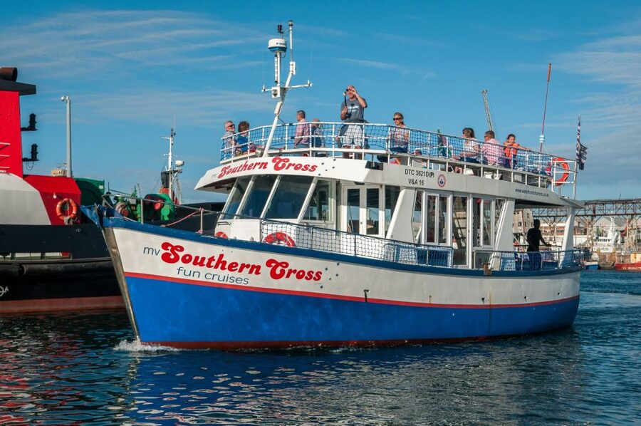Cape Town: 30 Minute Harbour Boat Cruise with Seal Watching - Cape Town Seal Watching, Without the Big Time Commitment
