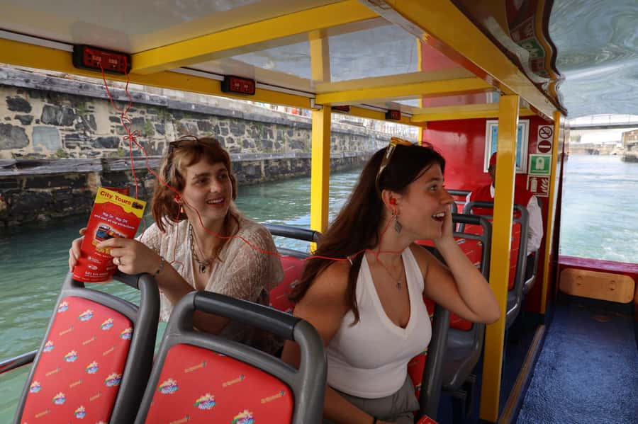 Cape Town: 30 Minute Seal-Watching Harbour Cruise - Cape fur seals: spotting them without ruining the moment