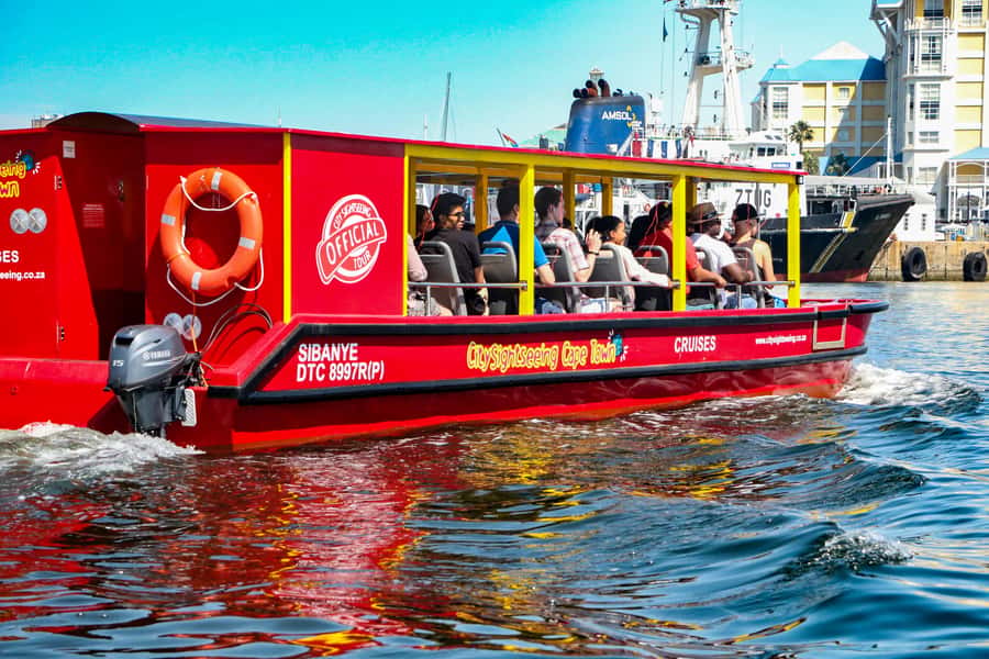 Cape Town: 30 Minute Seal-Watching Harbour Cruise - Audio commentary in 15 languages, with headsets that actually help
