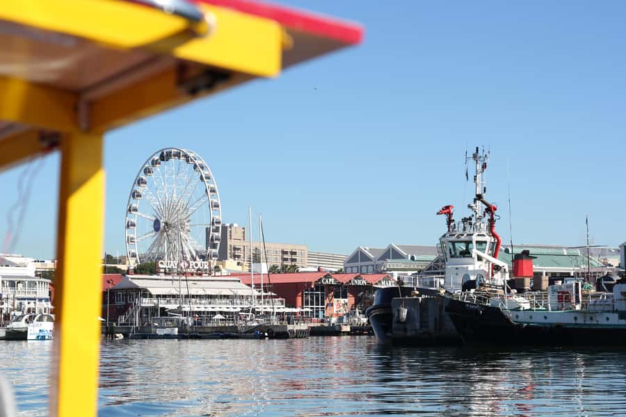 Cape Town: 30 Minute Seal-Watching Harbour Cruise - Free Wi-Fi and the small comforts that make it easier