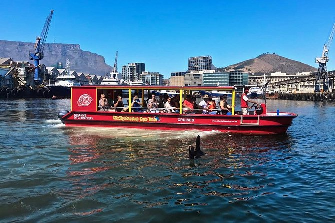 Cape Town 30-minute V&A Harbour Cruise - Where the cruise actually goes: Alfred and Victoria basins