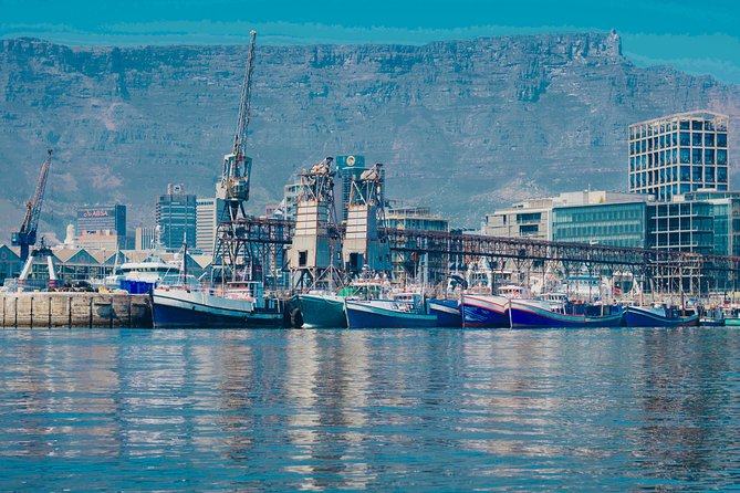 Cape Town 30-minute V&A Harbour Cruise - The real schedule: a fast loop that frees your whole afternoon