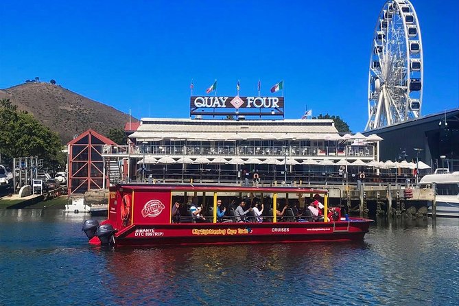 Cape Town 30-minute V&A Harbour Cruise - The live guide experience: how the headsets change everything