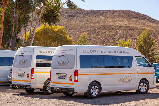 Cape Town Aquila Afternoon Safari with transport and lunch - Getting to Aquila: the 12:00 pm pickup rhythm