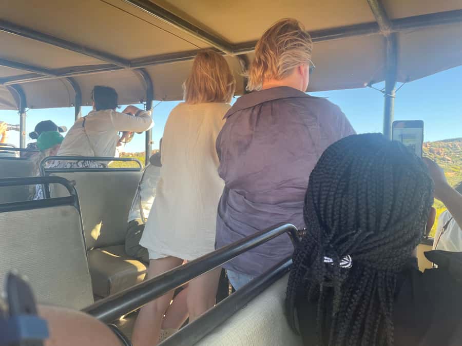 Cape Town: Aquila Game Reserve SAFARI +Lunch Buffet +Pickup - Cape Town pickup, drive time, and what 8 hours actually feels like