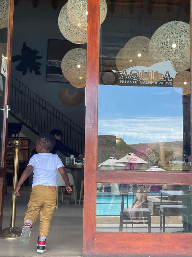 Cape Town: Aquila Game Reserve SAFARI +Lunch Buffet +Pickup - Sunset safari timing at Aquila, why the golden hour matters