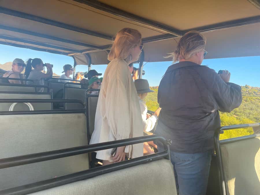 Cape Town: Aquila Game Reserve SAFARI +Lunch Buffet +Pickup - Wildlife education in the Karoo, more than just animal spotting