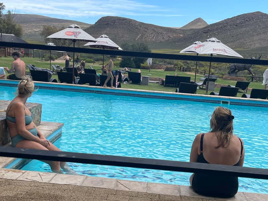 Cape Town: Aquila Game Reserve SAFARI +Lunch Buffet +Pickup - Price and value at about $235 per person