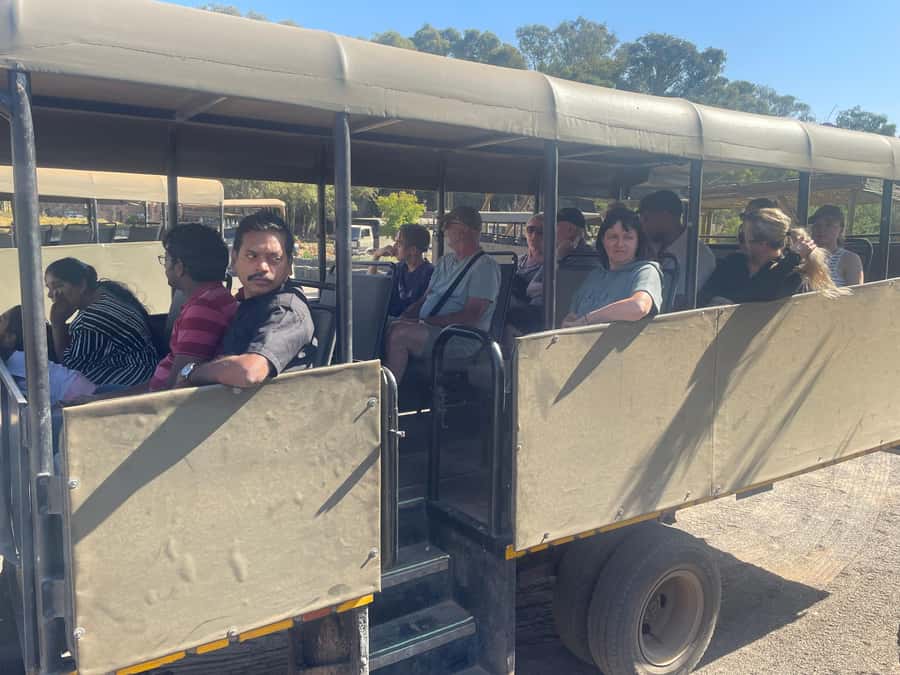 Cape Town: Aquila Game Reserve SAFARI +Lunch Buffet +Pickup - Practical tips to make the day smoother