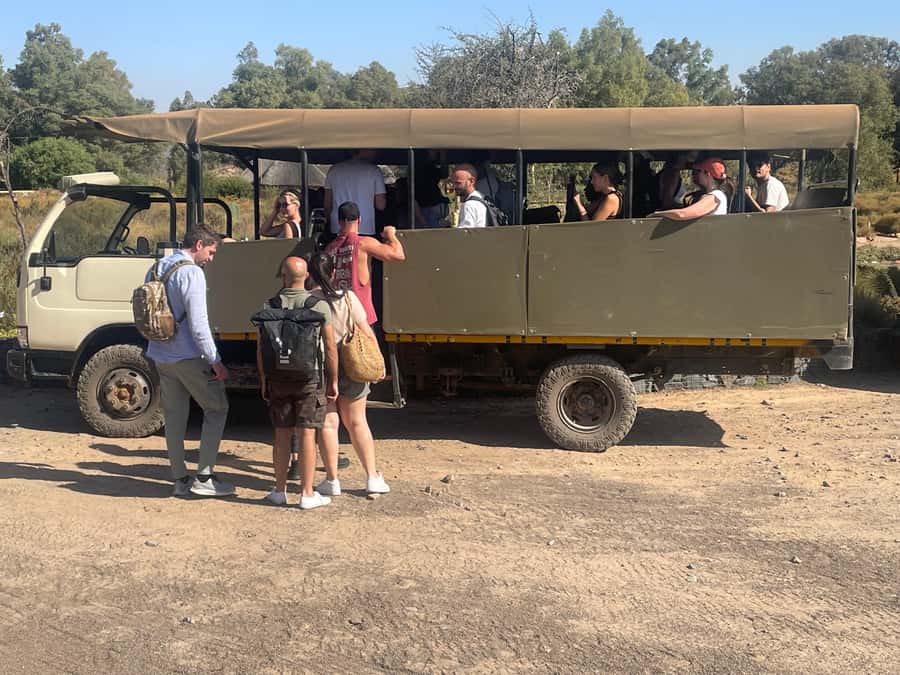 Cape Town: Aquila Game Reserve SAFARI +Lunch Buffet +Pickup - The lunch buffet moment, plus the reserve welcome before the safari