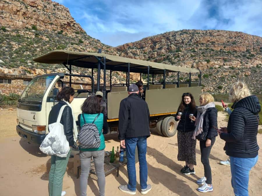 Cape Town: Aquila Game Reserve Sunset Game Drive - What You Can Expect to See: Big Five Chances and the Leopard Reality