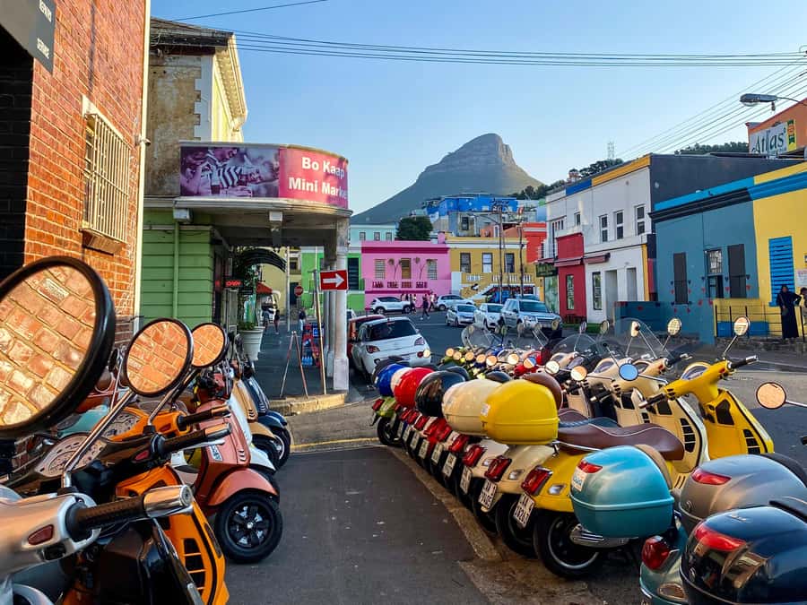 Cape Town: Art, Culture & History Walking Tour - Company Gardens and the Slave Lodge, where politics and pain share the same streets