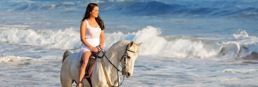 Cape Town: Beach Horse Ride with Hotel Pickup & Drop-off - The Beach Horse Ride That Centers the Atlantic Ocean