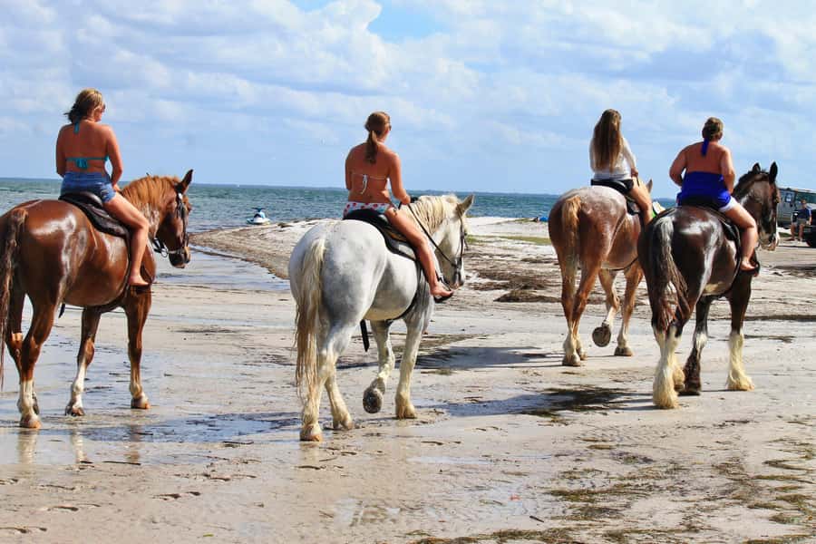 Cape Town: Beach Horse Ride with Hotel Pickup & Drop-off - What You’ll See on the Way, Farmlands and Coastal Views