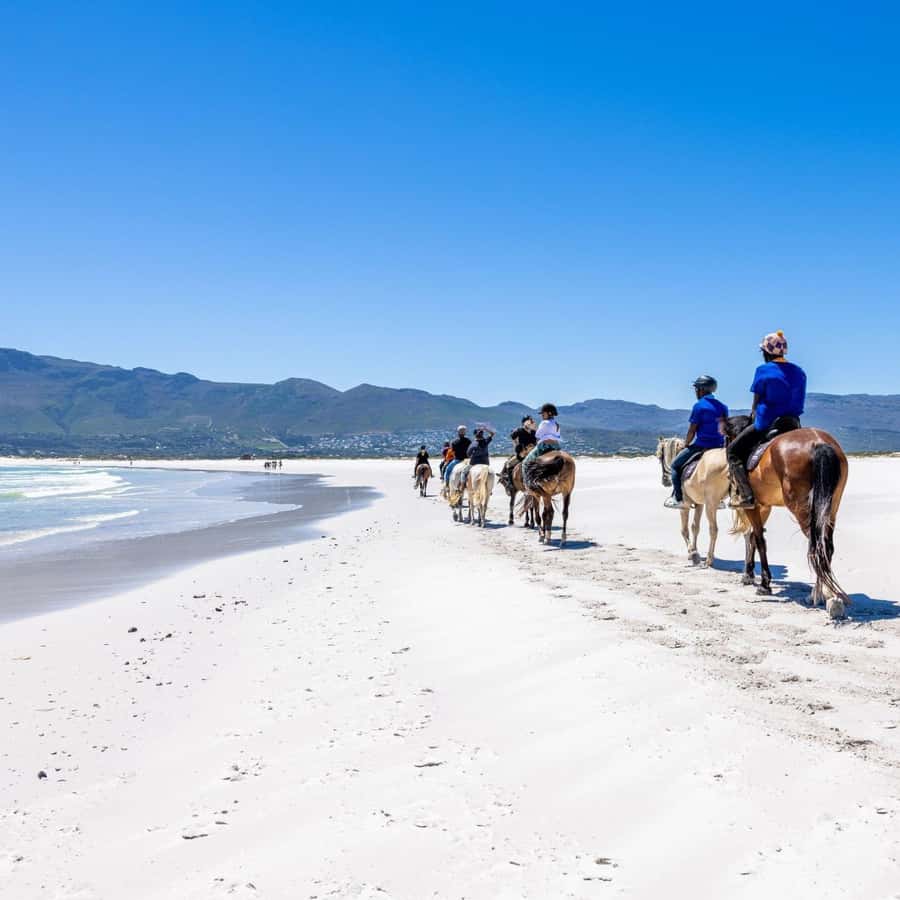 Cape Town: Beach Horse Ride with Hotel Pickup & Drop-off - Price and Value: What $180 Gets You in Cape Town