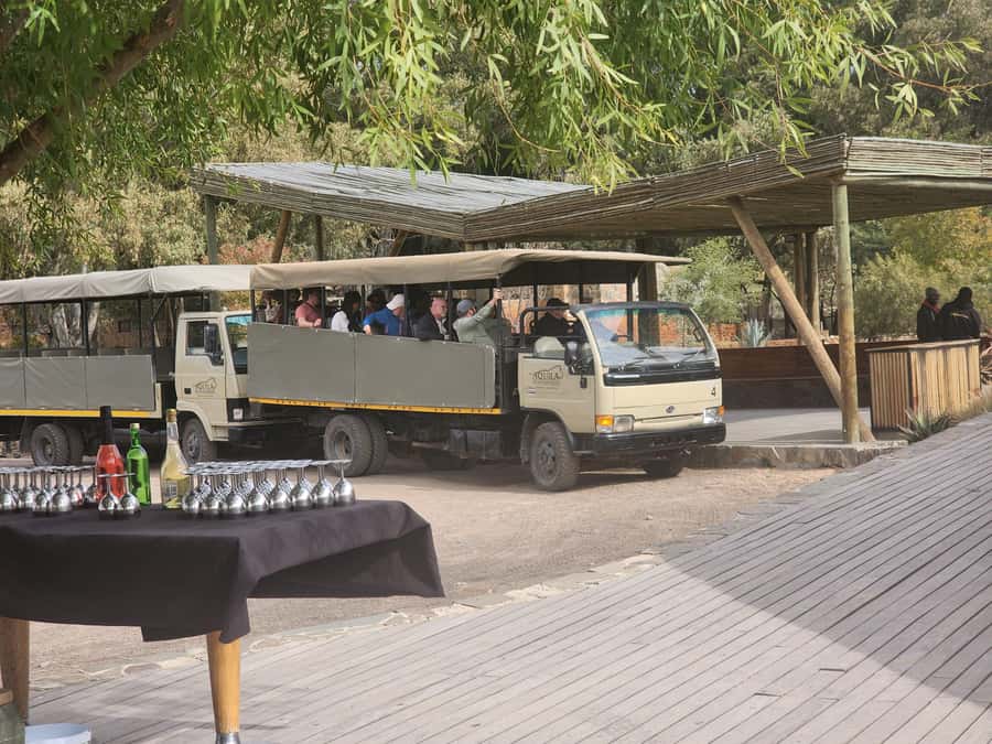 Cape Town big five safari with transport lunch Excl park fee - Conservation Focus in the Karoo Semi-Desert