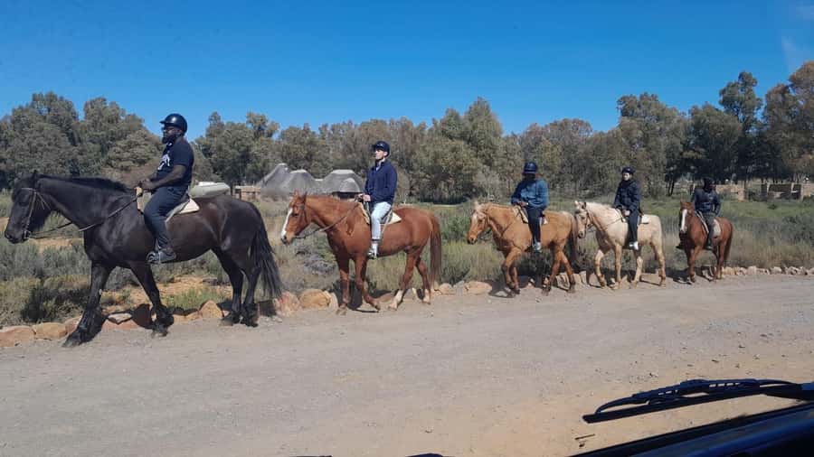 Cape Town big five safari with transport lunch Excl park fee - Price, Park Fees, and Real-World Value
