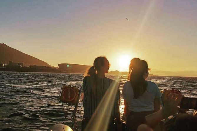 Cape Town Boat Trip - Robben Island from the distance: what you will see, and what you will not