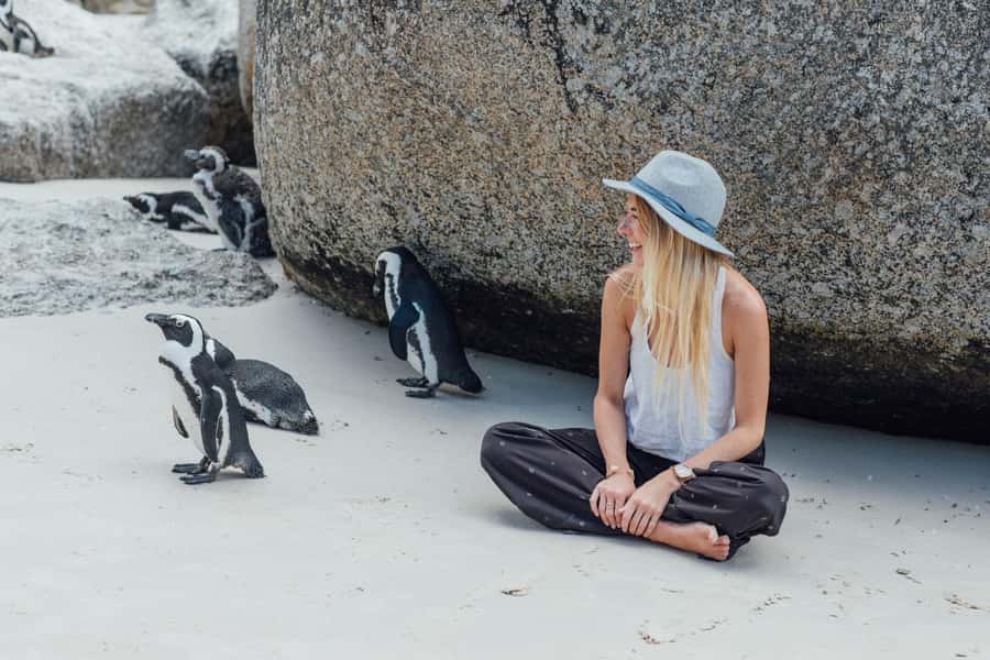 Cape Town: Boulders Penguin Colony Prebooked Entry Ticket - Boulders Beach: what you are actually paying for