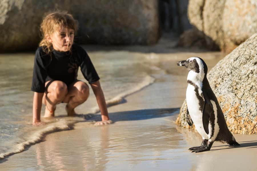 Cape Town: Boulders Penguin Colony Prebooked Entry Ticket - Where to enter: parking lot to main gate in plain steps