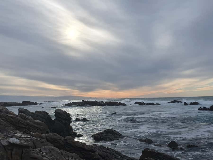 Cape Town: Cape Aghullas Van Tour with Hotel Pickup - Key things to know before you go