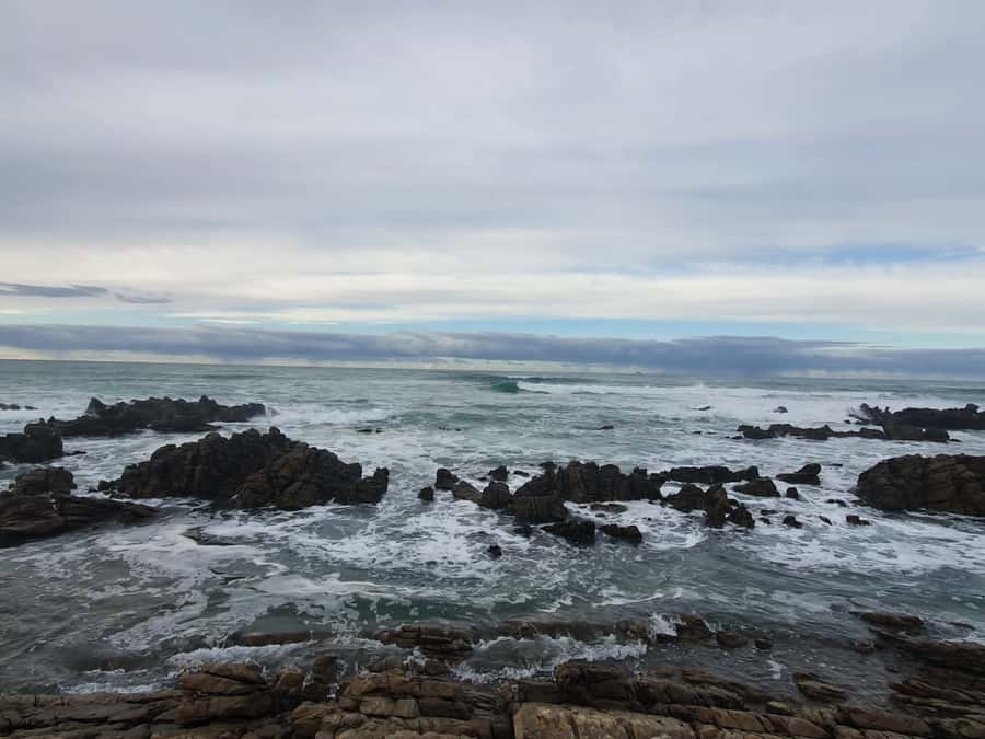 Cape Town: Cape Aghullas Van Tour with Hotel Pickup - What the small-group setup really changes for you