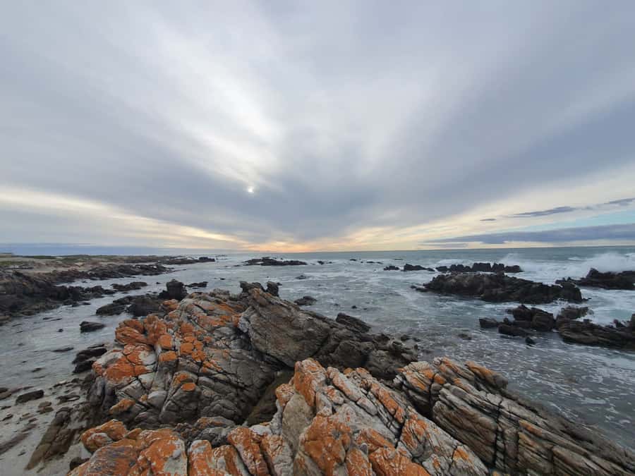 Cape Town: Cape Aghullas Van Tour with Hotel Pickup - Cape Town to Cape Agulhas: why this route feels different