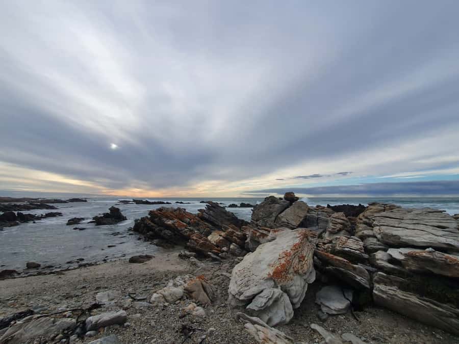 Cape Town: Cape Aghullas Van Tour with Hotel Pickup - Hermanus: coastal town time, plus lunch and viewpoints