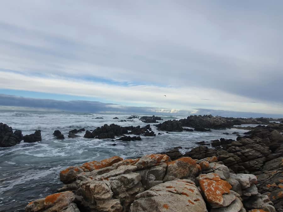 Cape Town: Cape Aghullas Van Tour with Hotel Pickup - Cape Agulhas: where the Indian Ocean meets the Atlantic