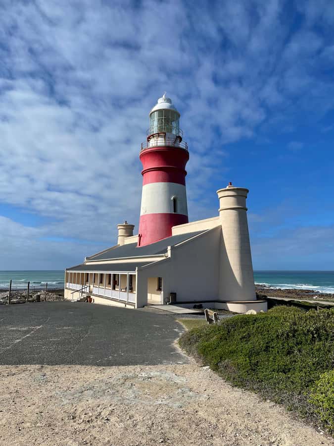 Cape Town: Cape Agulhas and Stony Point Penguin Tour - Tips for making your day smoother