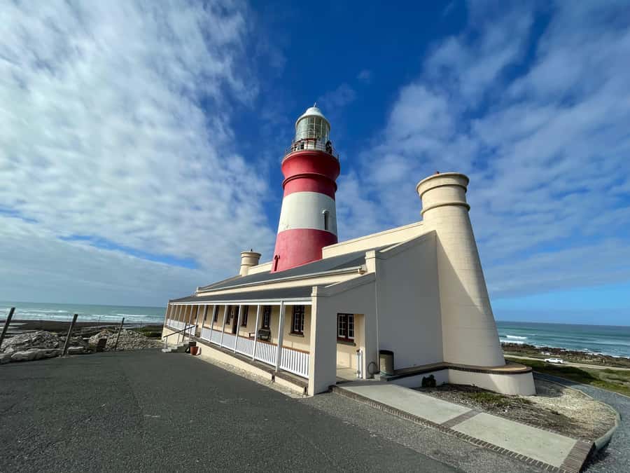 Cape Town: Cape Agulhas and Stony Point Penguin Tour - Stony Point Penguin Colony in Betty’s Bay: up-close wildlife without the chaos