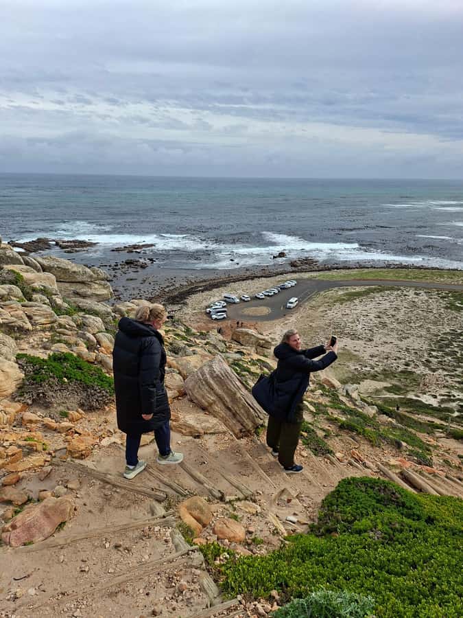 Cape Town: CAPE OF GOOD HOPE AND PENGUINS PRIVATE FULL DAY. - Price and value for a group up to four