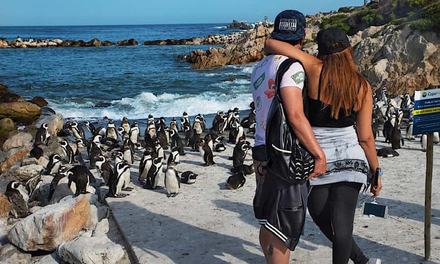 Cape Town: CAPE OF GOOD HOPE AND PENGUINS PRIVATE FULL DAY. - Camps Bay and Hout Bay, a coastal break from viewpoints