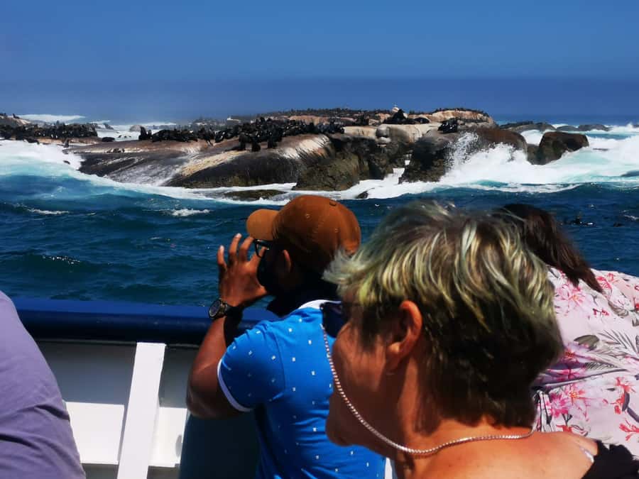 Cape Town: CAPE OF GOOD HOPE AND PENGUINS PRIVATE FULL DAY. - Table Mountain by cable car, optional and pay-as-you-go